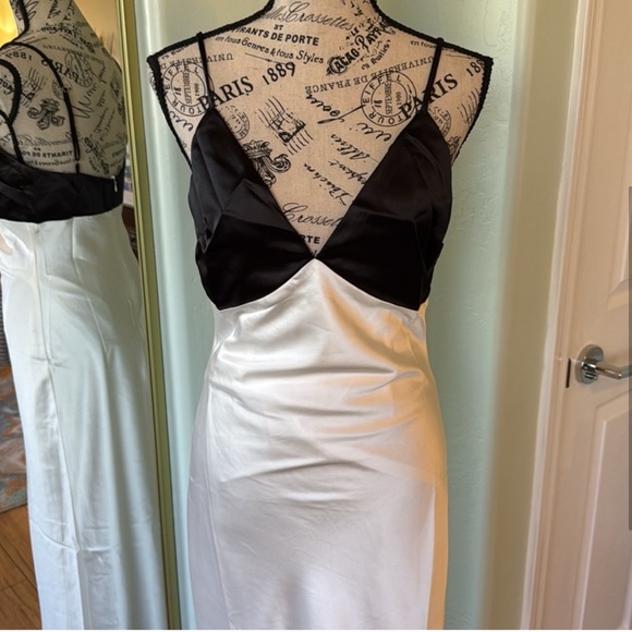 NWT Lyra Two-Toned Satin Dress - Picture 2 of 6